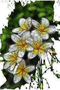 Flower woodcut edit cropped